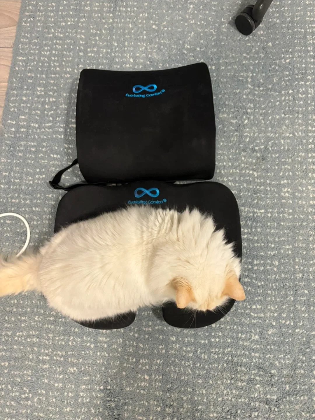 Everlasting Comfort Seat Cushion & Lumbar Support image indicator(2)