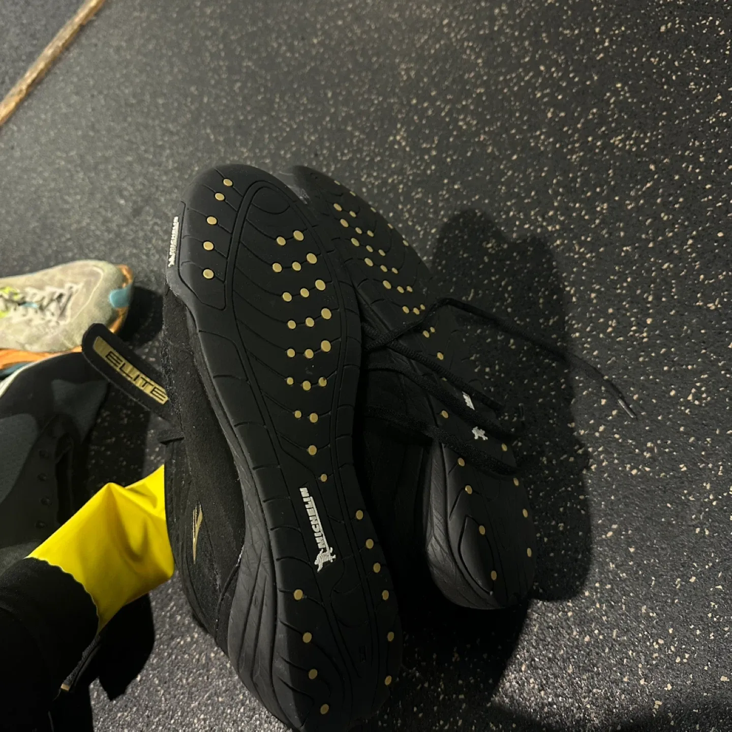 Everlast Elite Boxing/Wrestling Shoes - Size 13 image indicator(3)