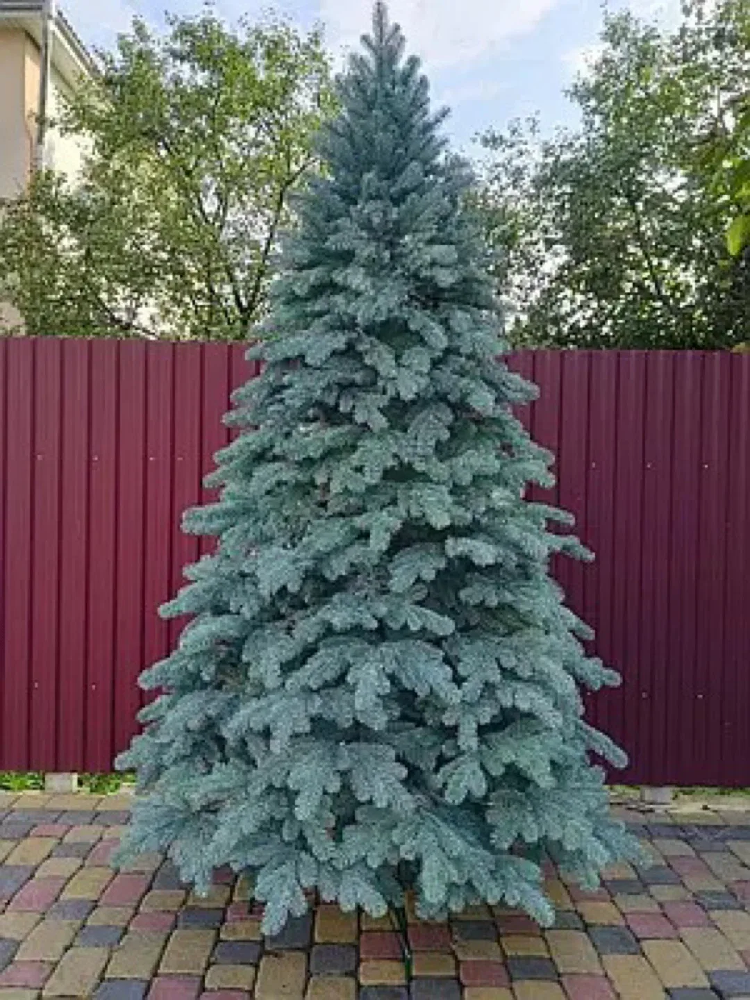 Artificial Christmas tree image indicator(2)