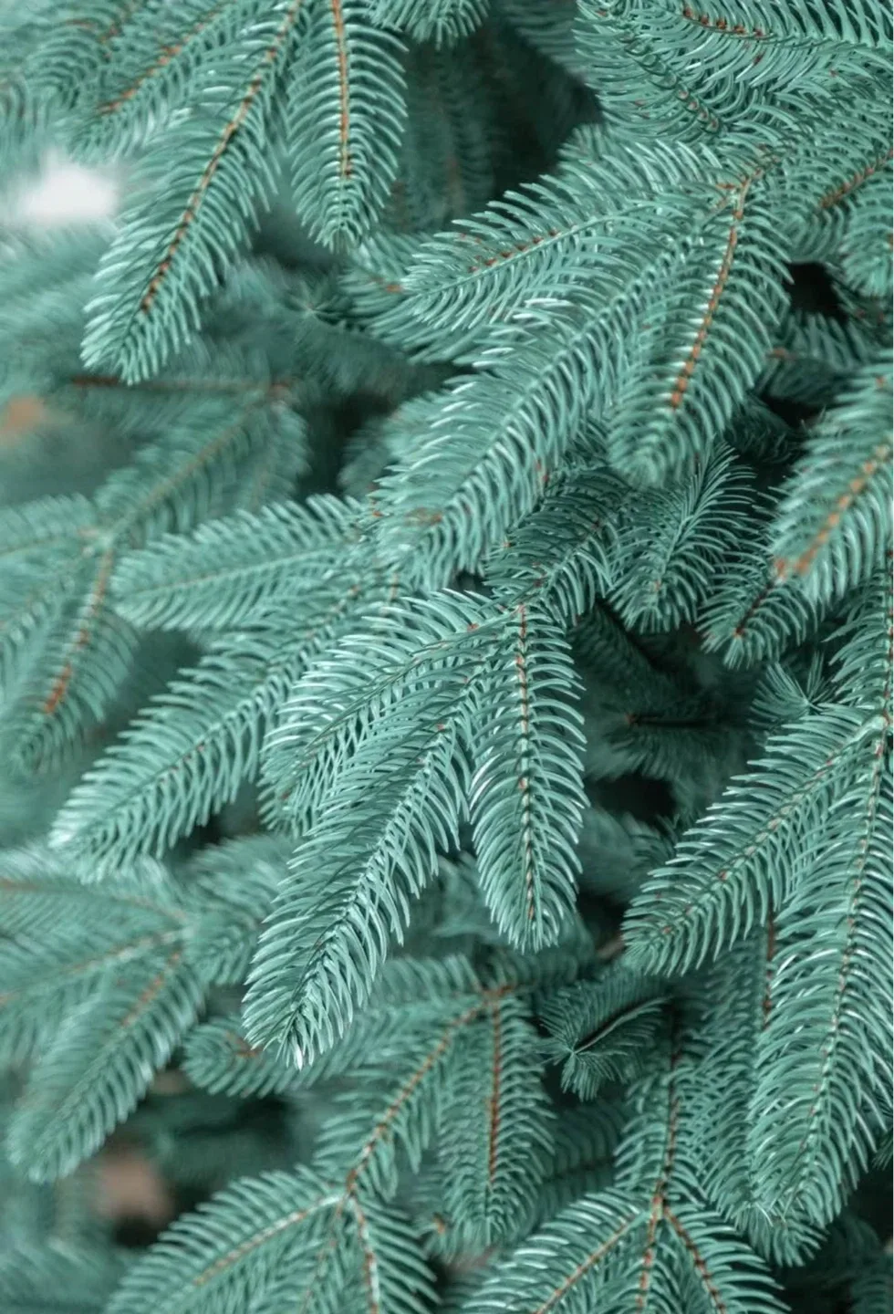 Artificial Christmas tree image indicator(8)