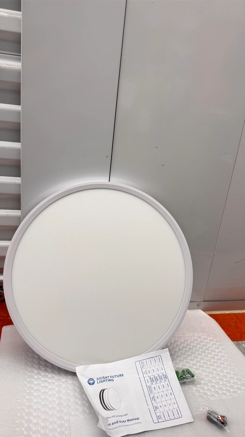 Bright Future Lighting LED Ceiling Light - White, 16 inch