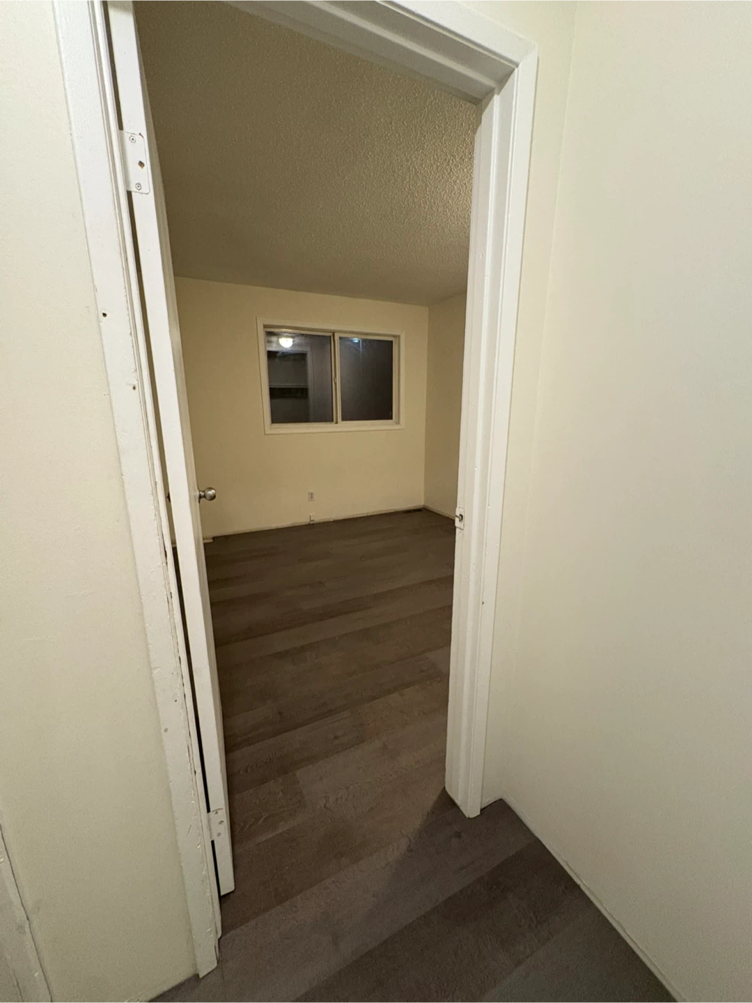 Roommate Wanted