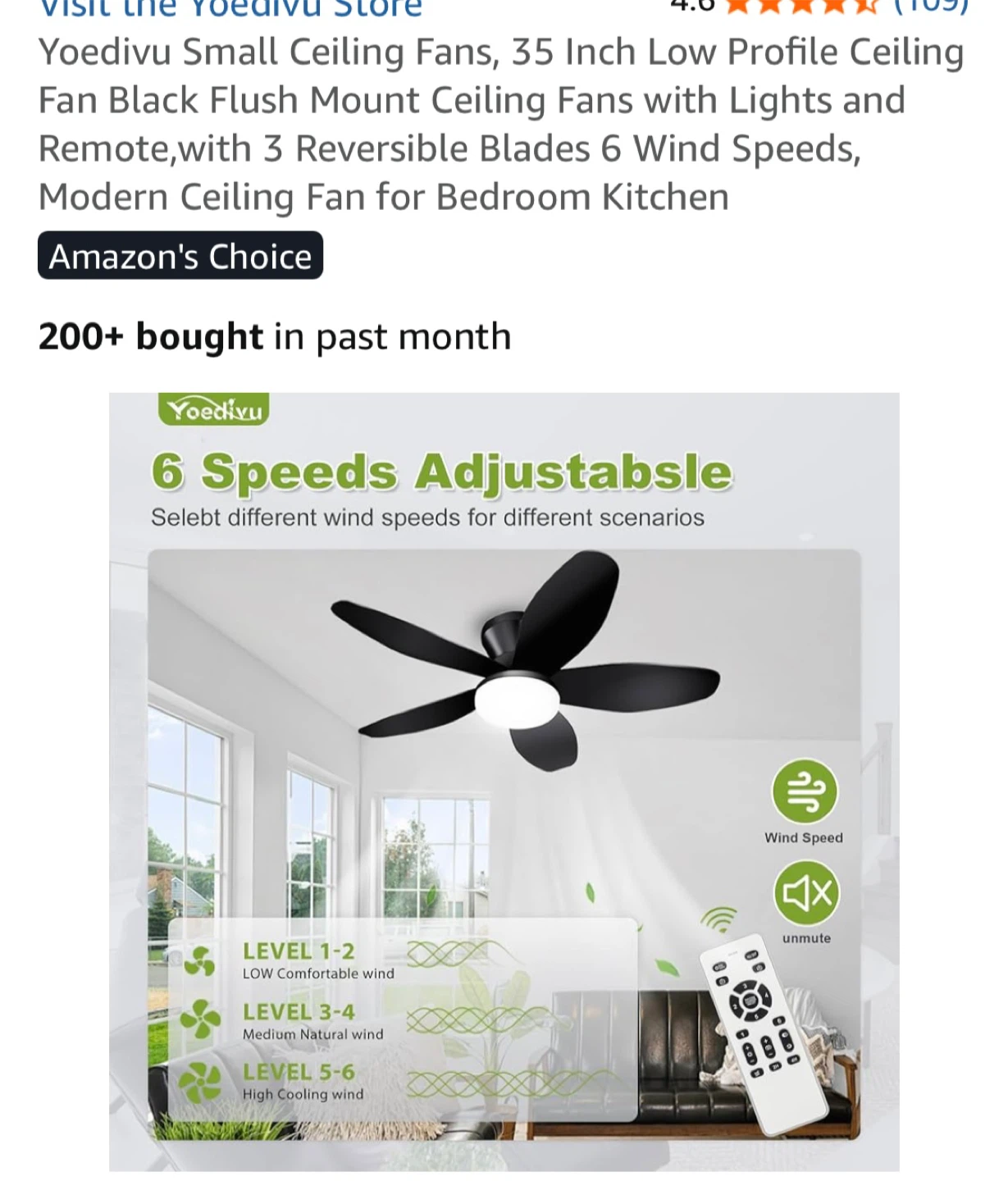 Yoedivu 35 Inch Low Profile Ceiling Fan - Black - photo 3