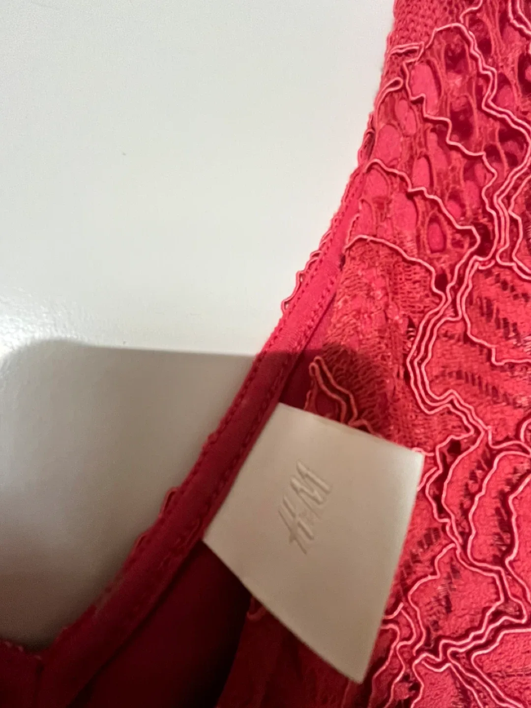 H&M Coral Lace Dress image indicator(3)