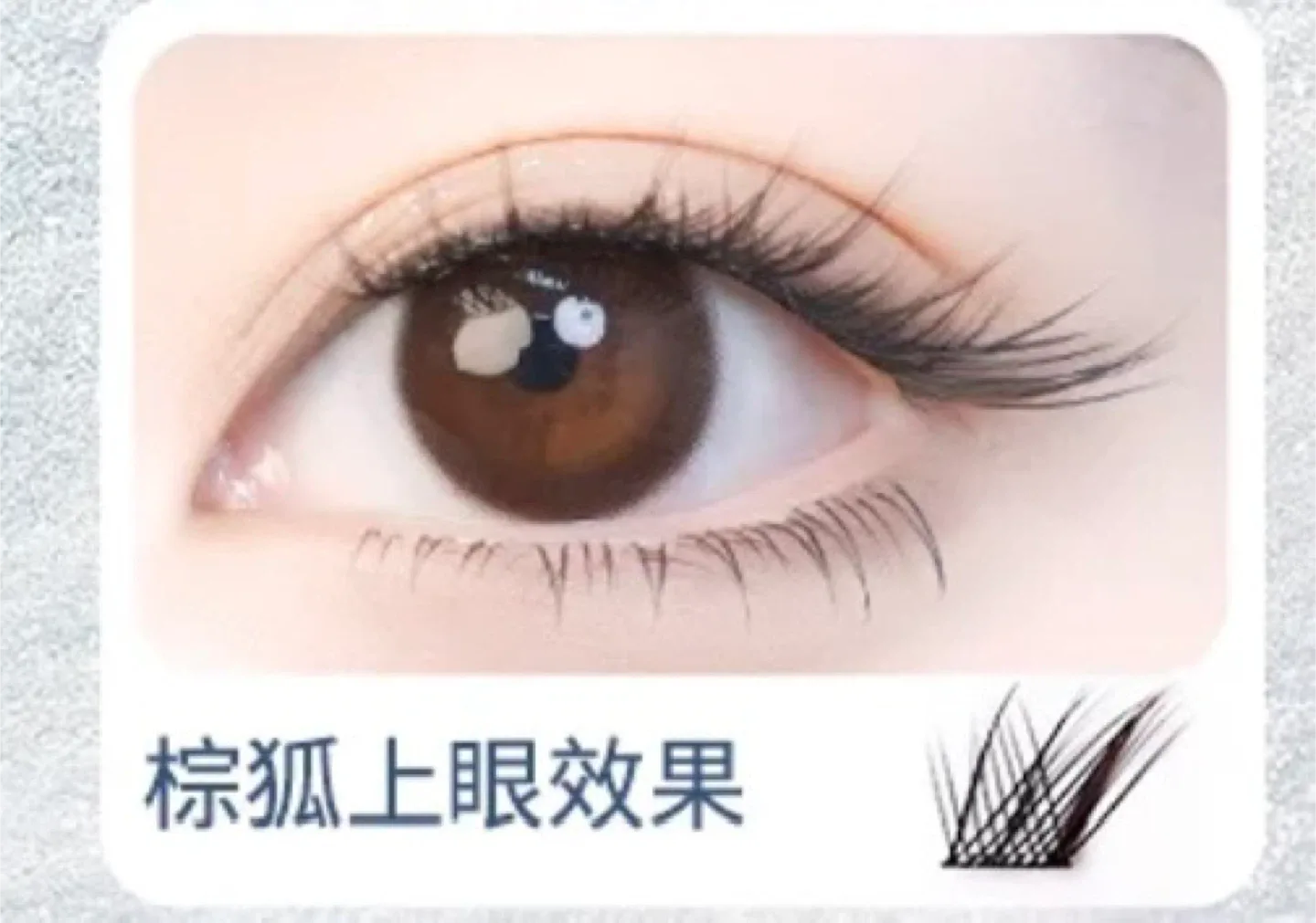 glue free False Eyelashes image indicator(2)