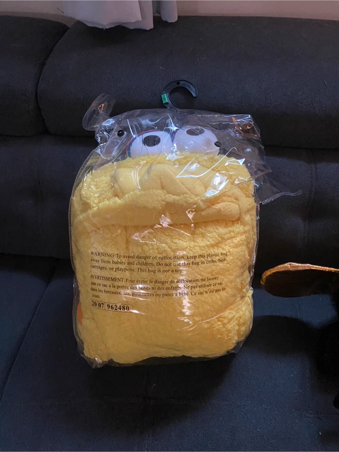 Sesame Street Costume image indicator(2)