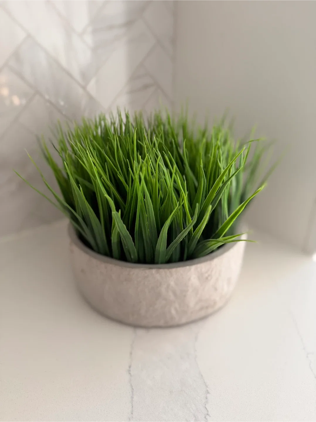 Artificial Grass Plant in Cement Pot image indicator(2)