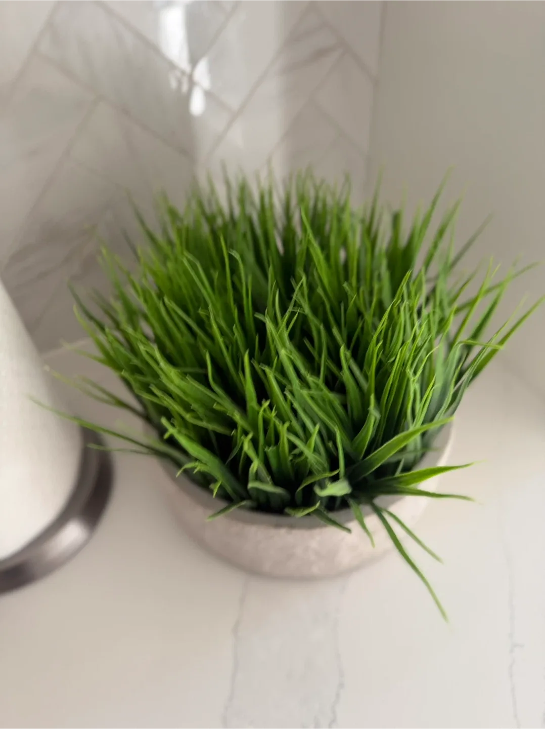 Artificial Grass Plant in Cement Pot image indicator(5)