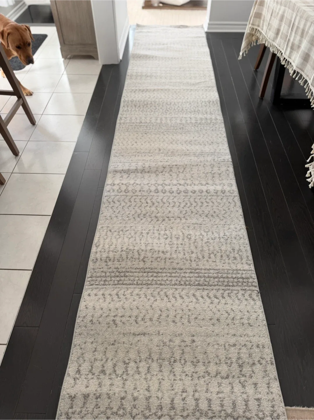 Large hallway carpet (69 X 610 cm) image indicator(4)