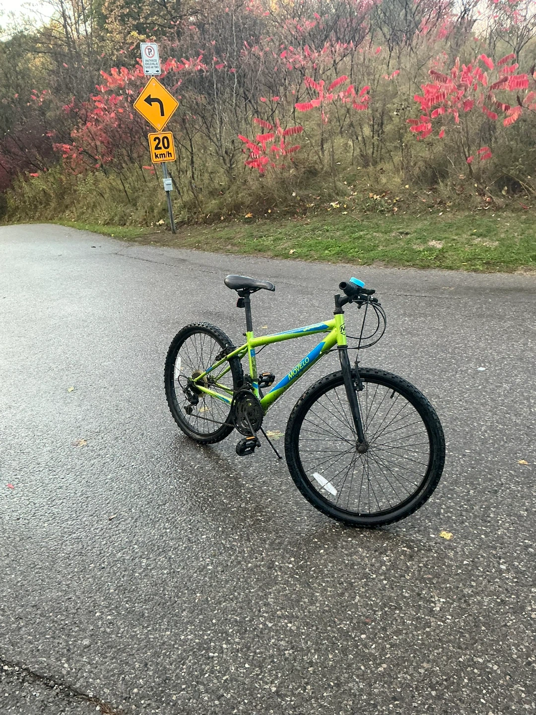 Movelo Mountain Bike - Green & Blue