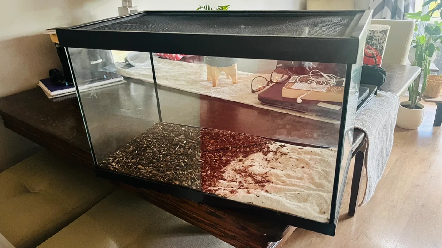 10 Gal Terrarium Tank image indicator(2)