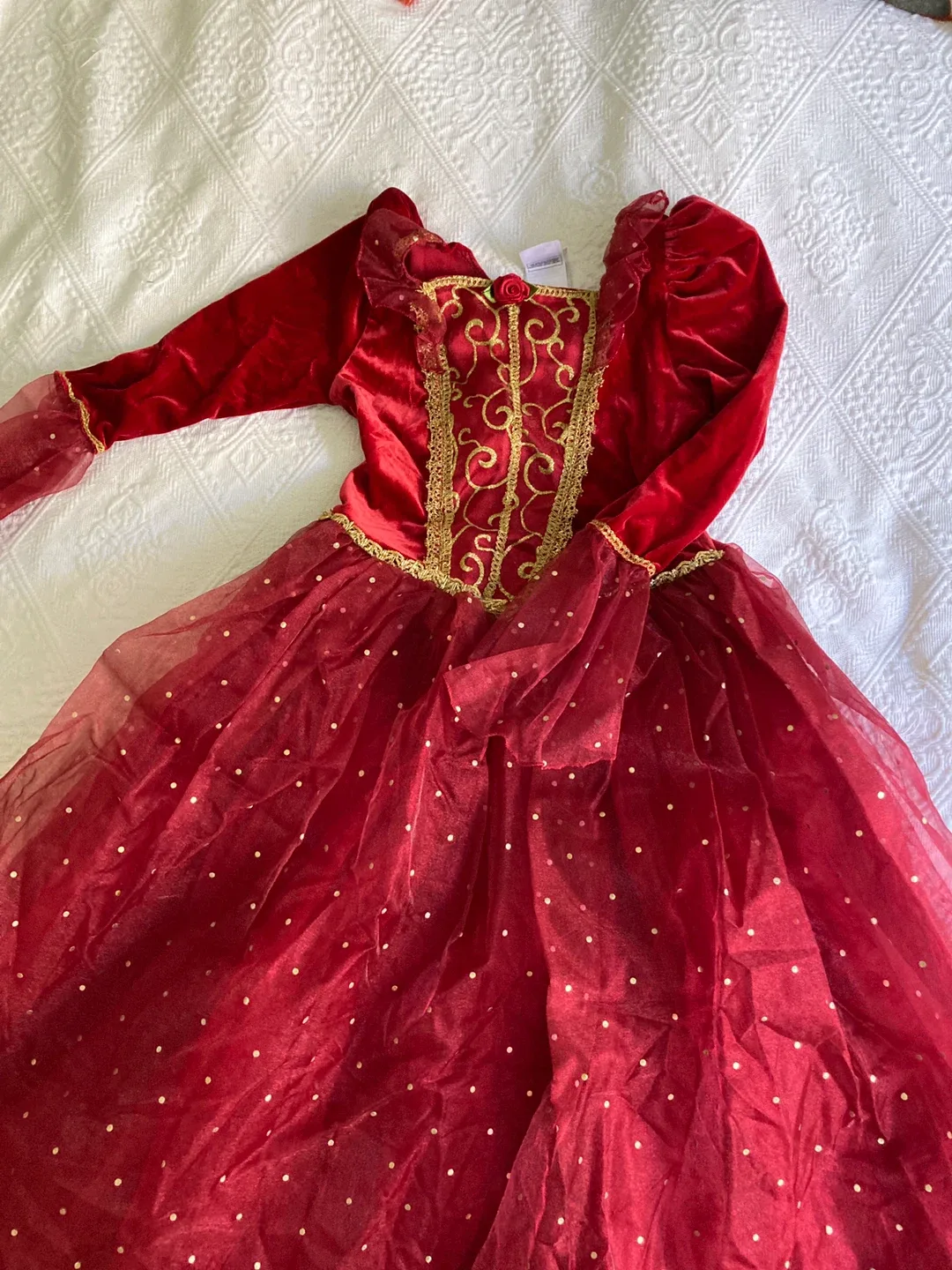Halloween - Disney Belle Princess Dress - Size M (7/8)