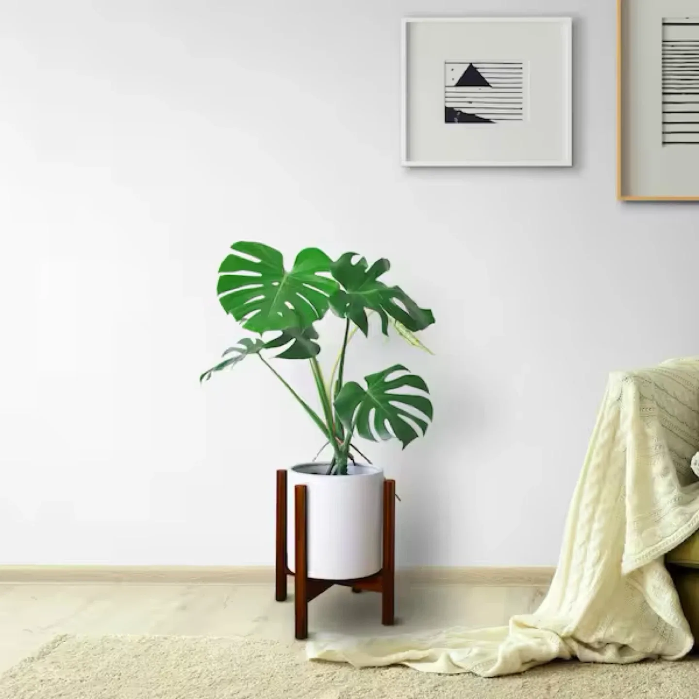 Plant Stand - Wood image indicator(3)