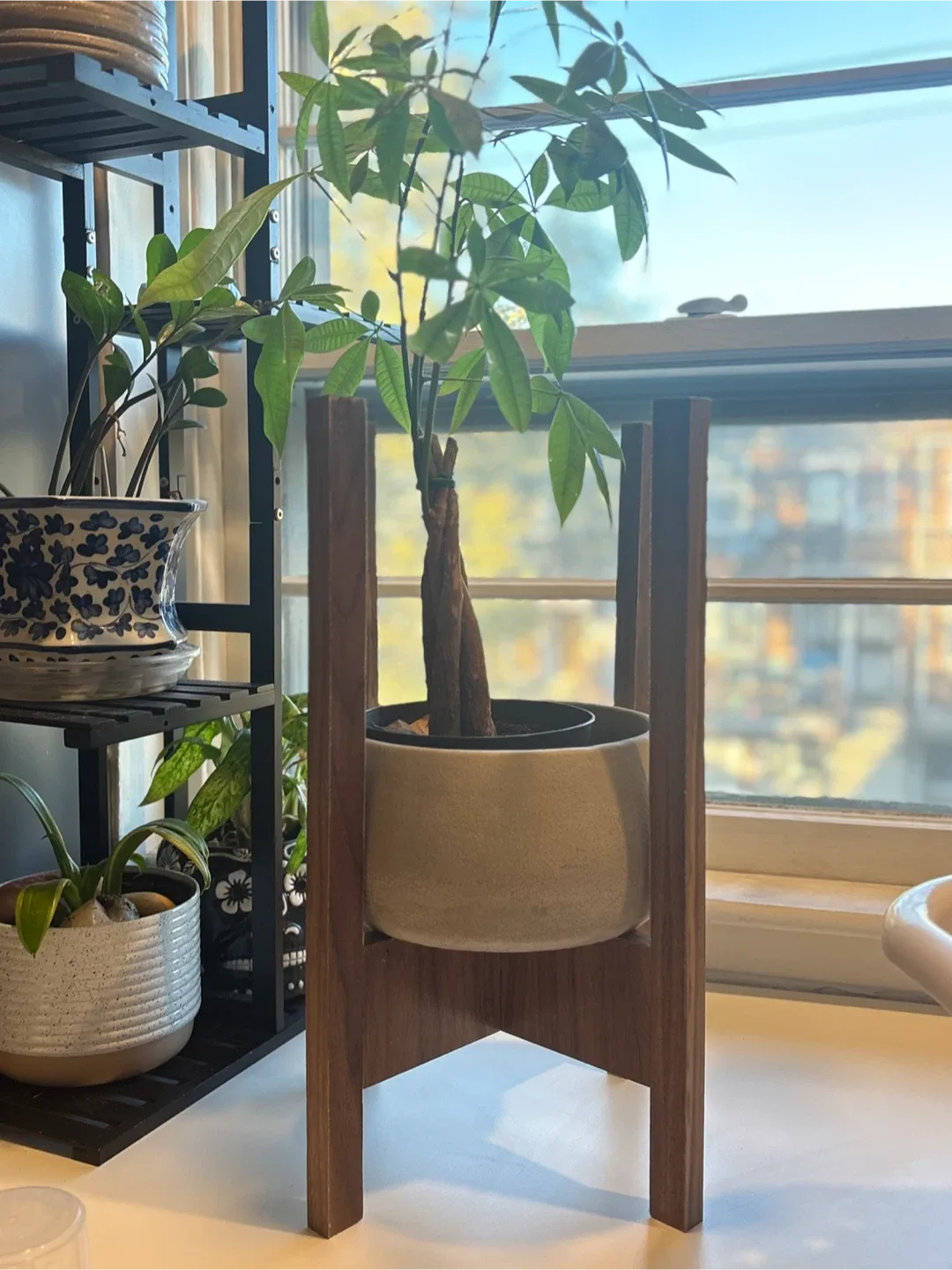 Plant Stand - Wood image indicator(2)