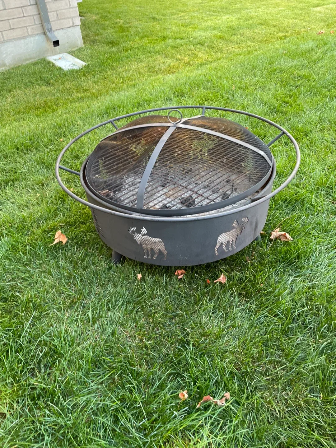 Large Fire Pit with Engraved Design image indicator(2)