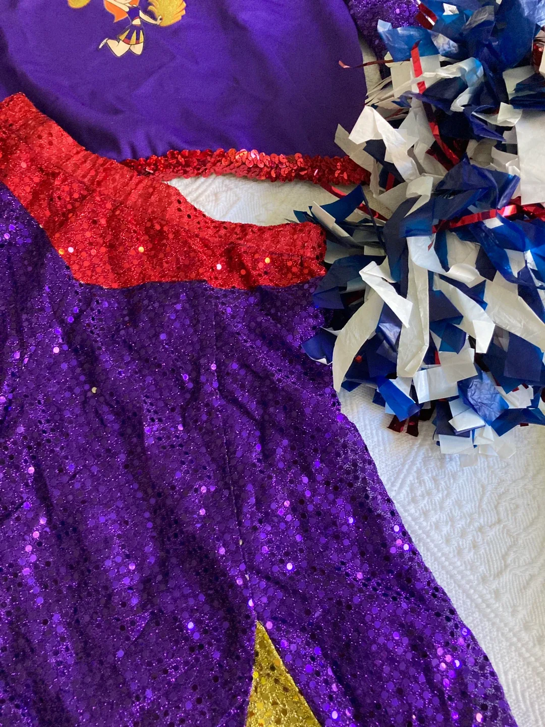 Halloween - Disney  Cheerleader Costume image indicator(3)