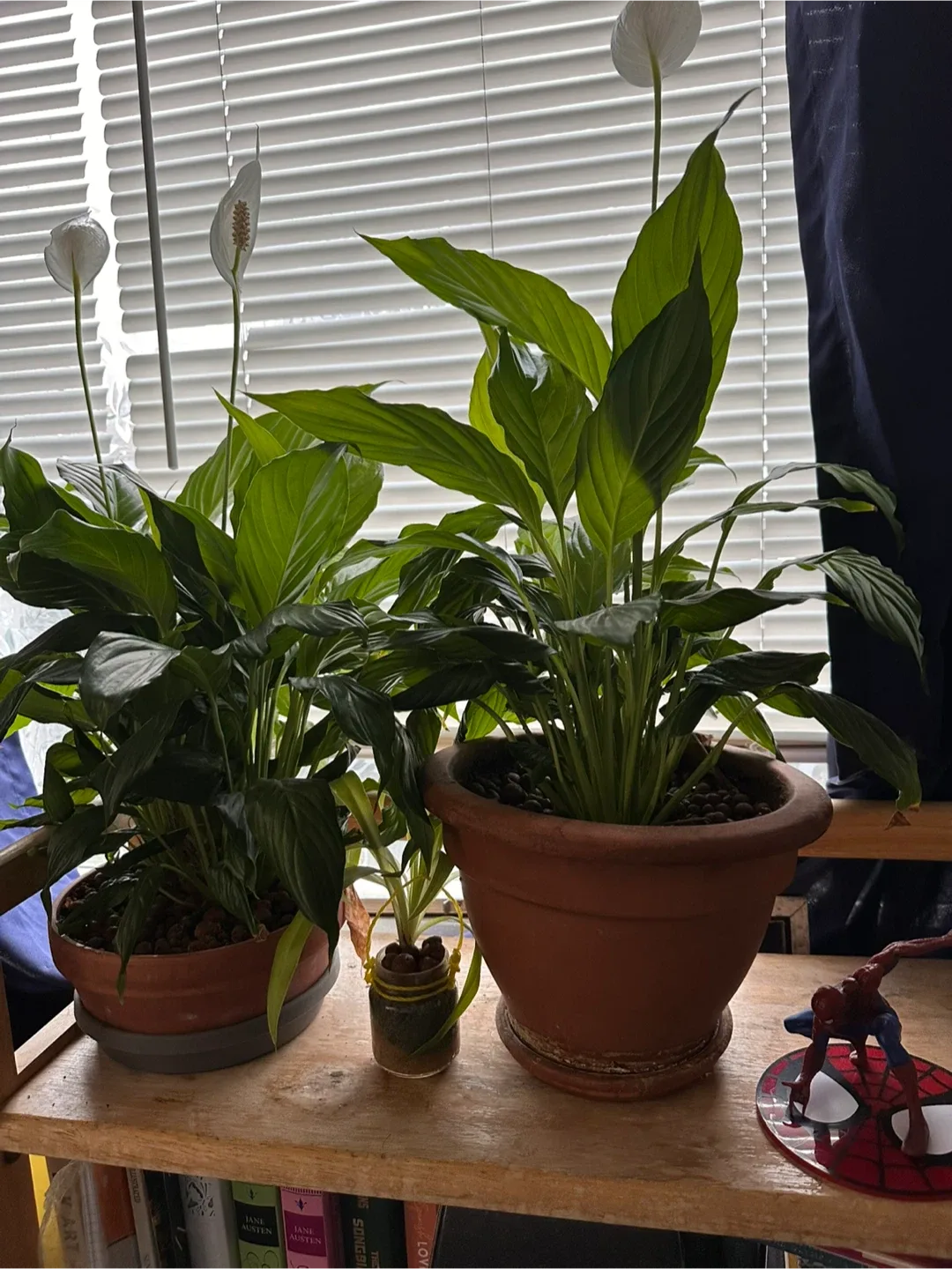 comment article thumbnail