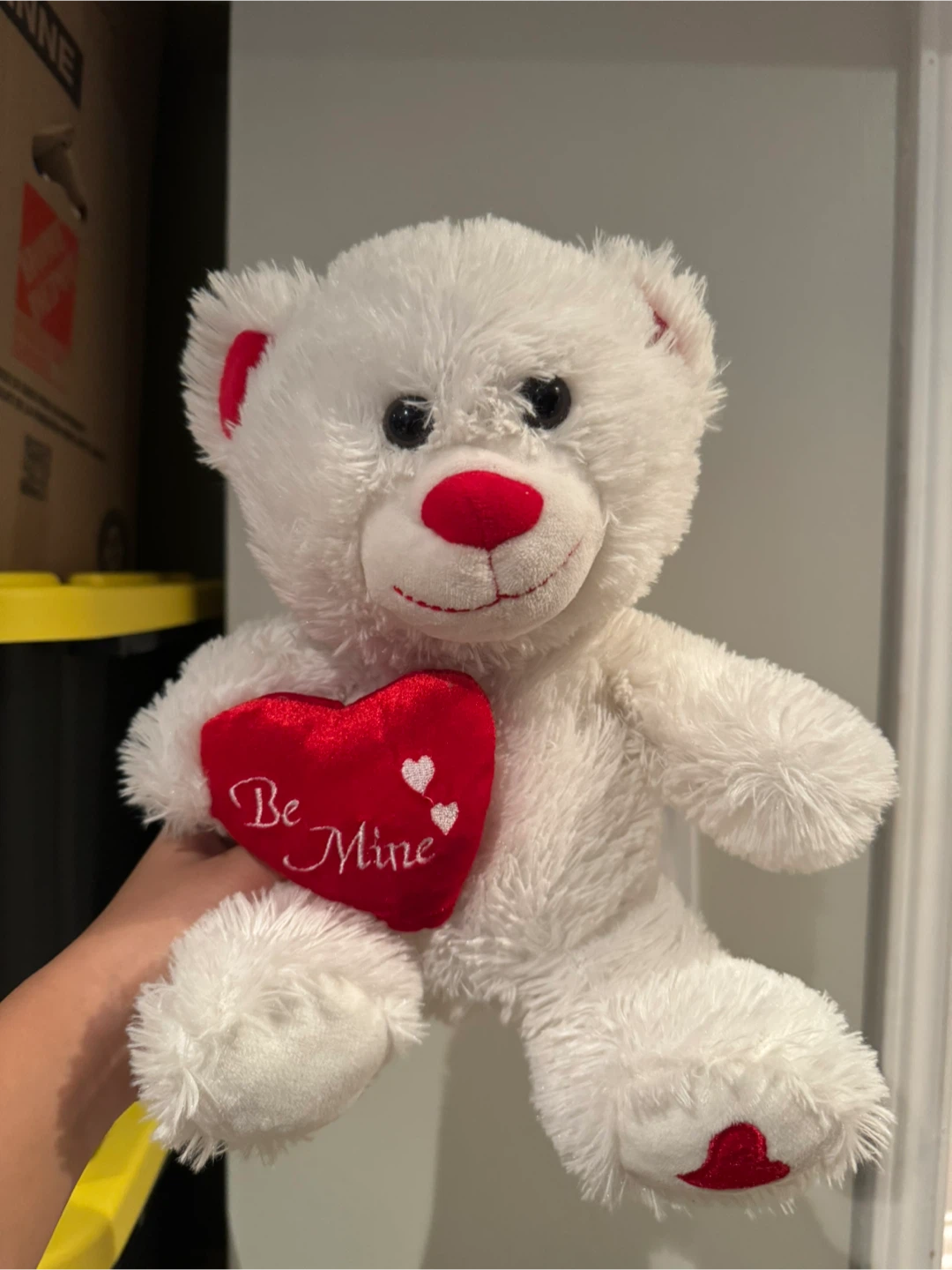 White Teddy Bear with Red Heart