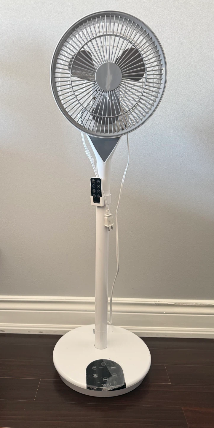 WOOZOO Standing Fan with Remote