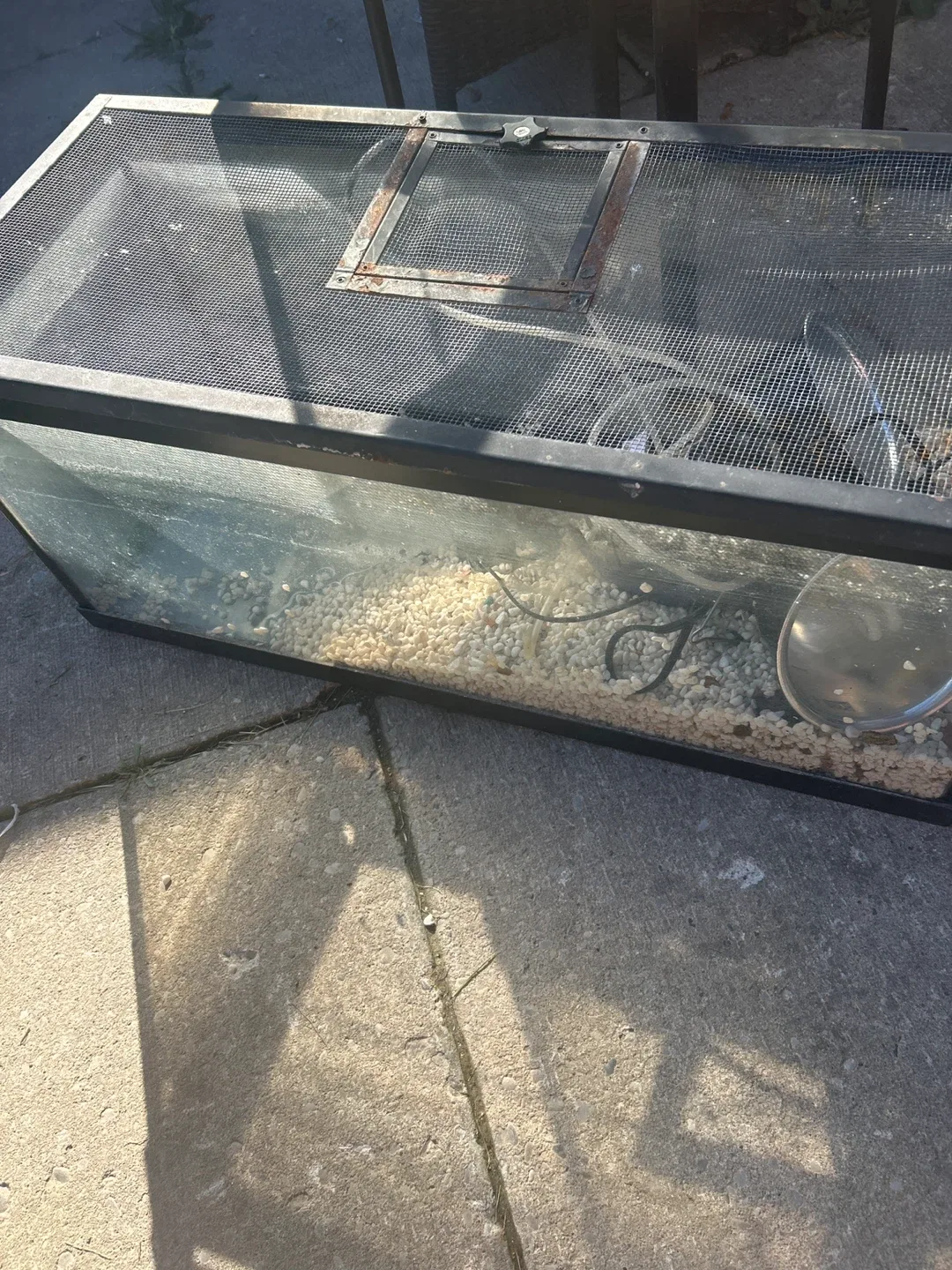 Used Fish Tank and Reptile Terrarium image indicator(4)