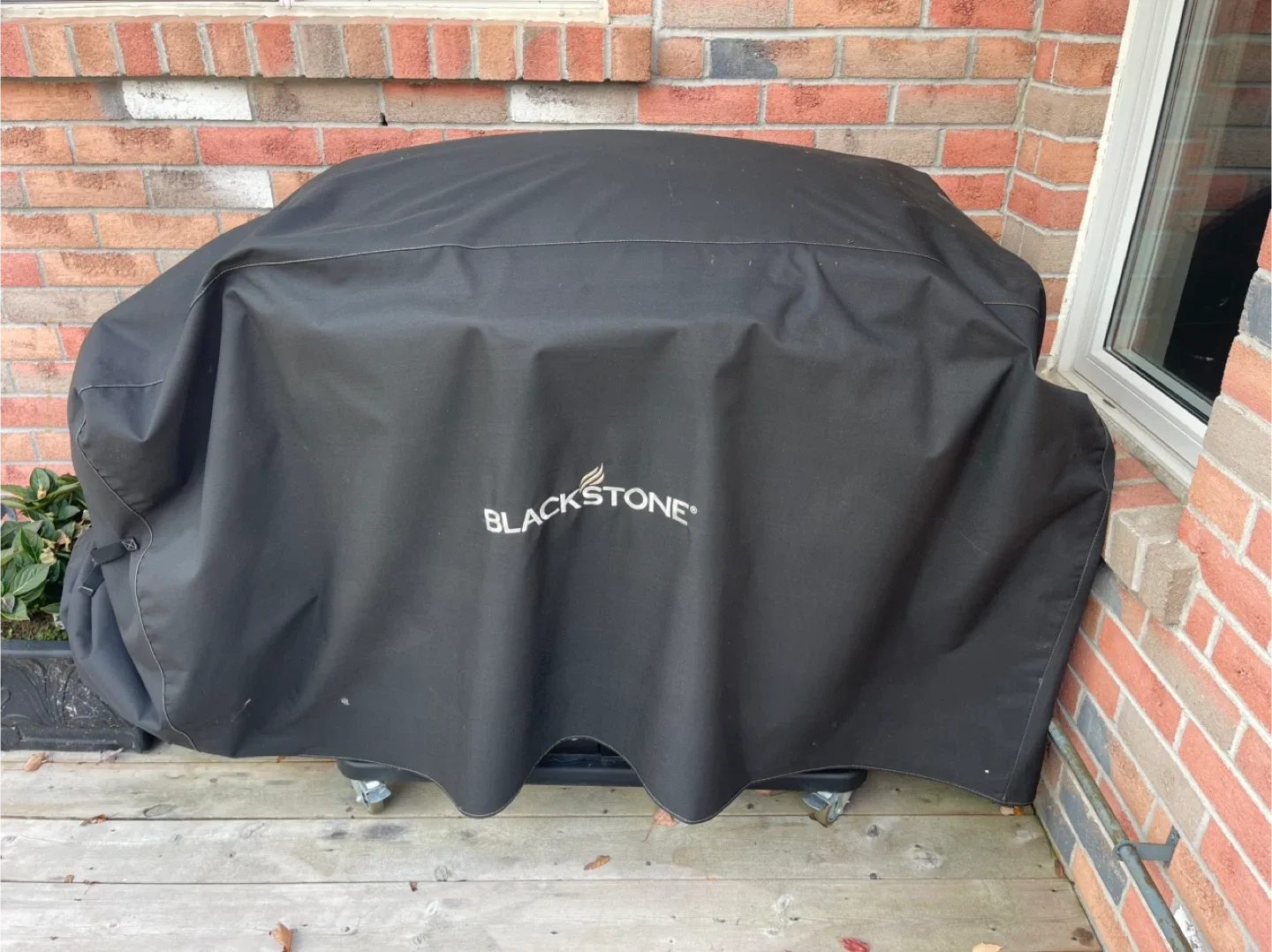 Blackstone griddle with air fryer image indicator(4)