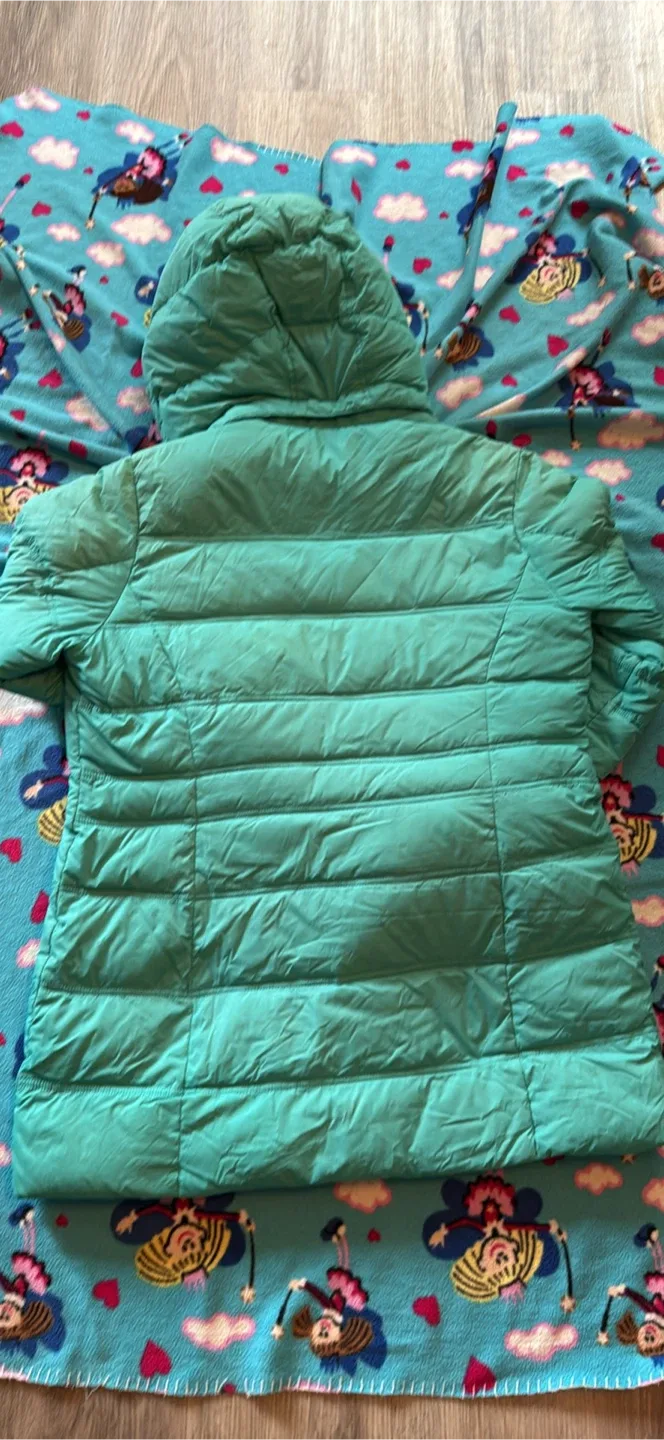 The North Face Puffer Jacket - Turquoise image indicator(6)