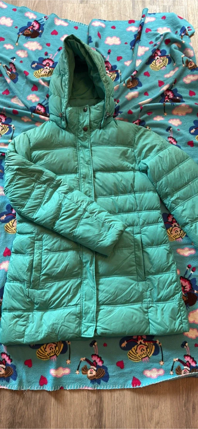 The North Face Puffer Jacket - Turquoise image indicator(2)