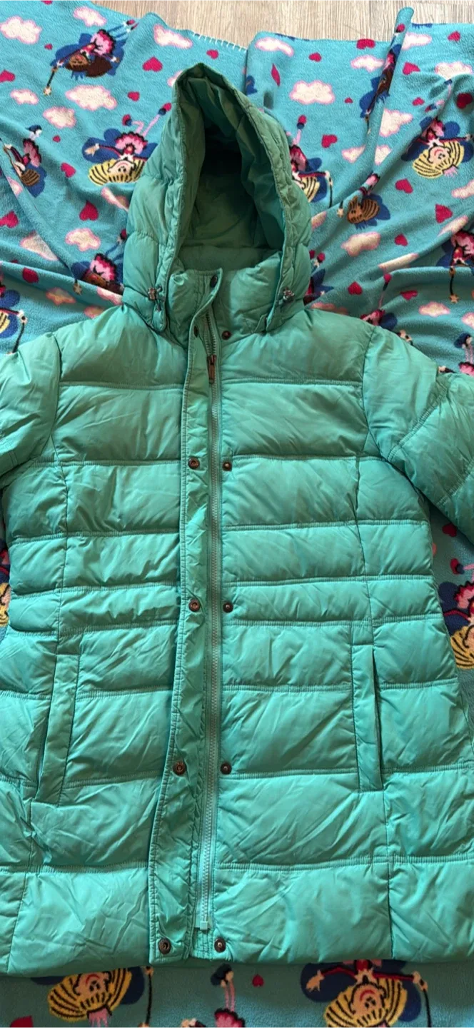 The North Face Puffer Jacket - Turquoise image indicator(4)
