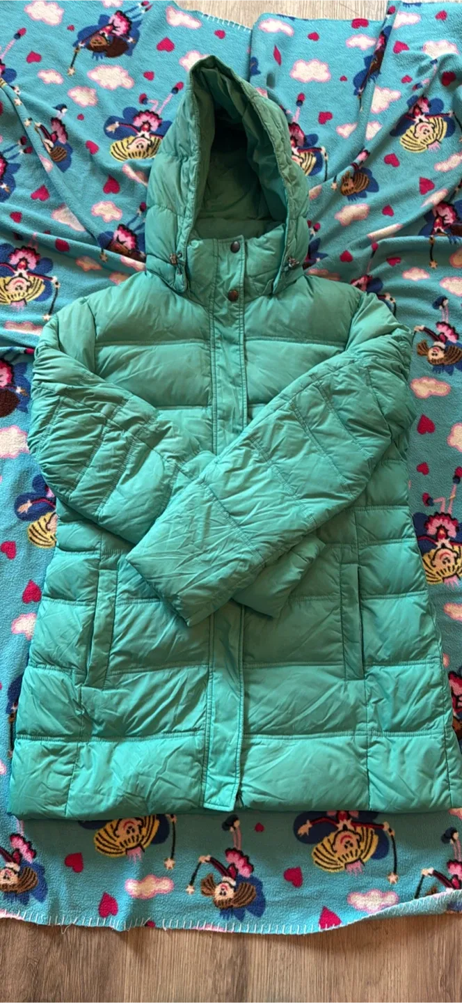 The North Face Puffer Jacket - Turquoise image indicator(3)