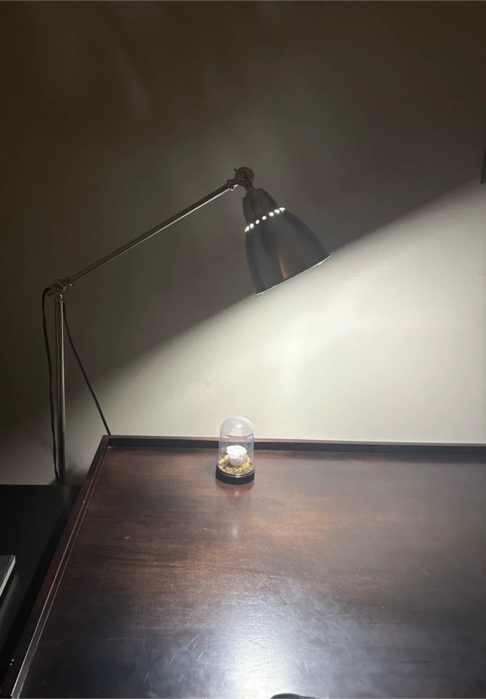 Anglepoise Desk Lamp image indicator(2)