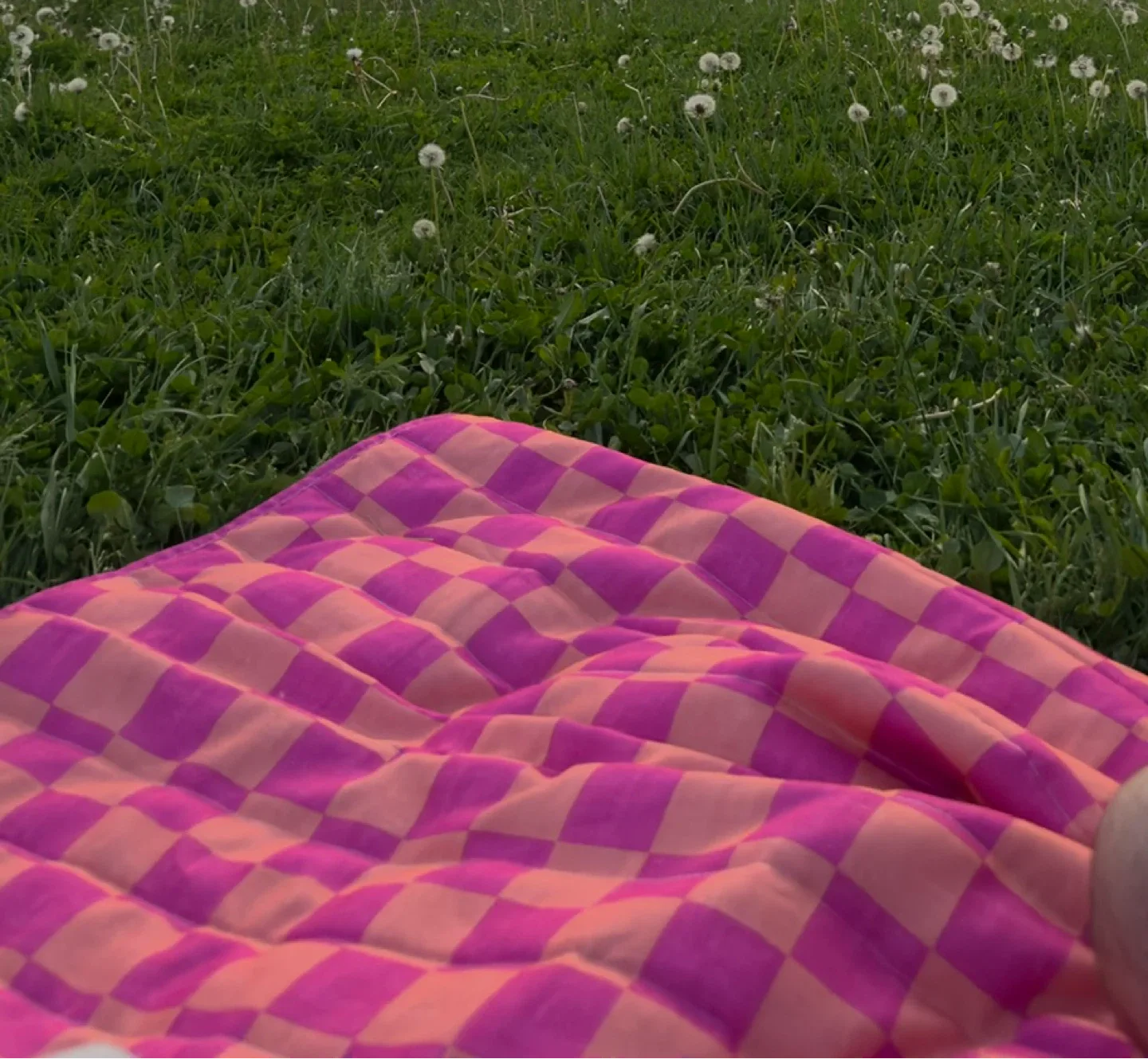 Everithing must go 🚨Picnic Blanket image indicator(2)