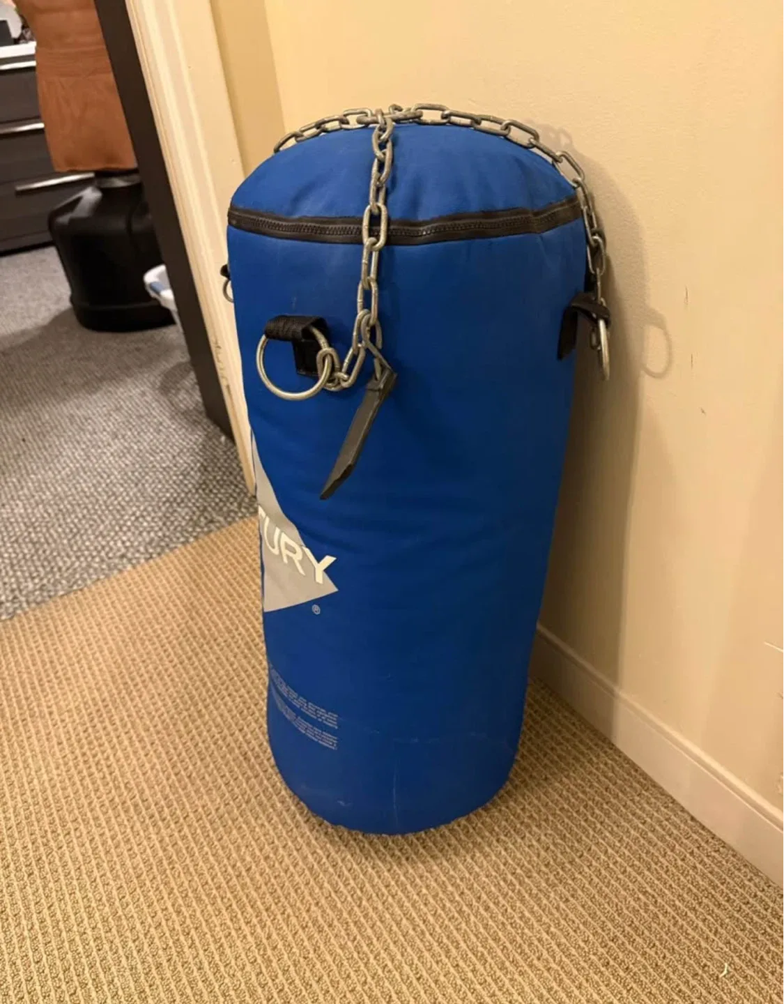 Century Blue 50lbs Punching Bag