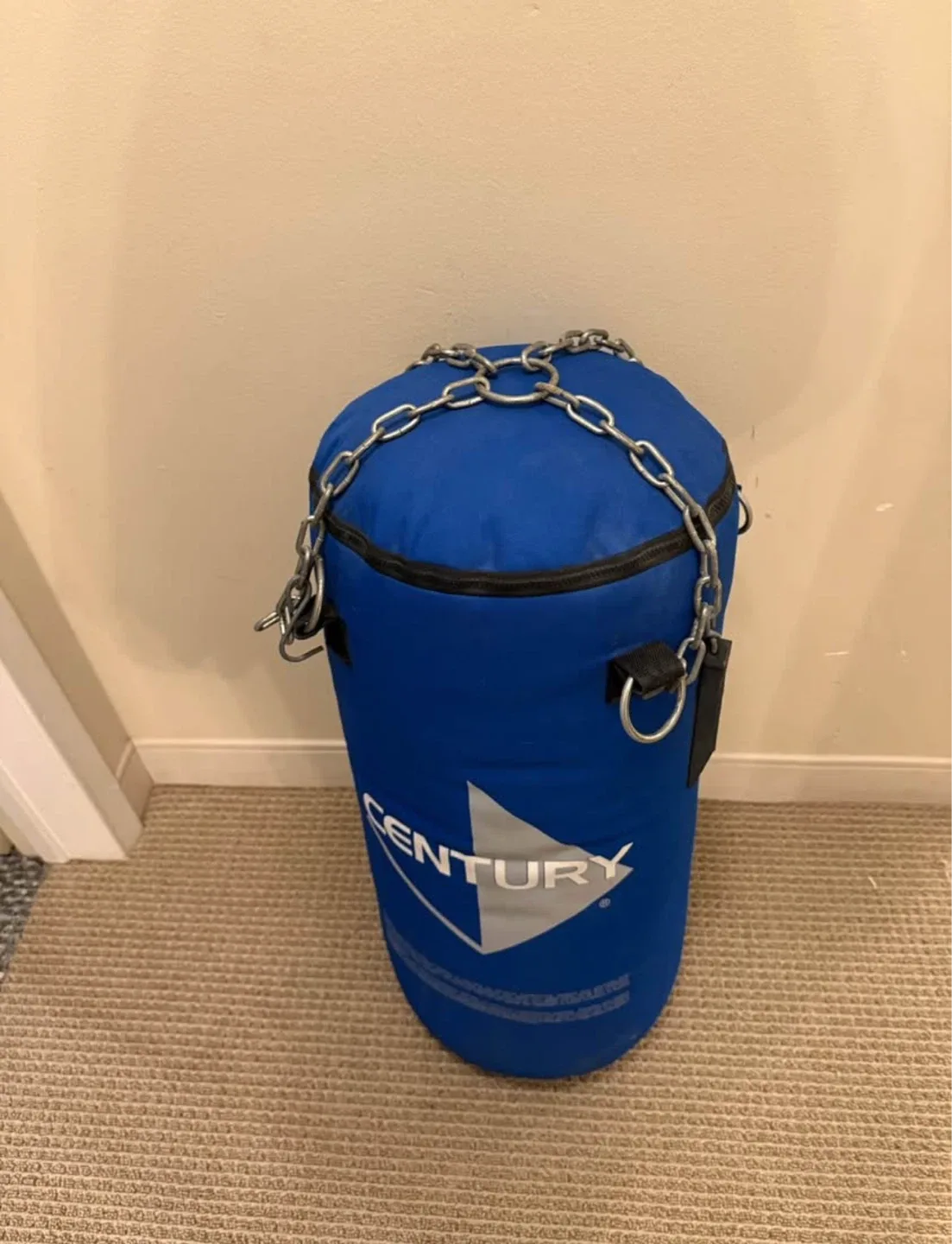 Century Blue 50lbs Punching Bag image indicator(2)