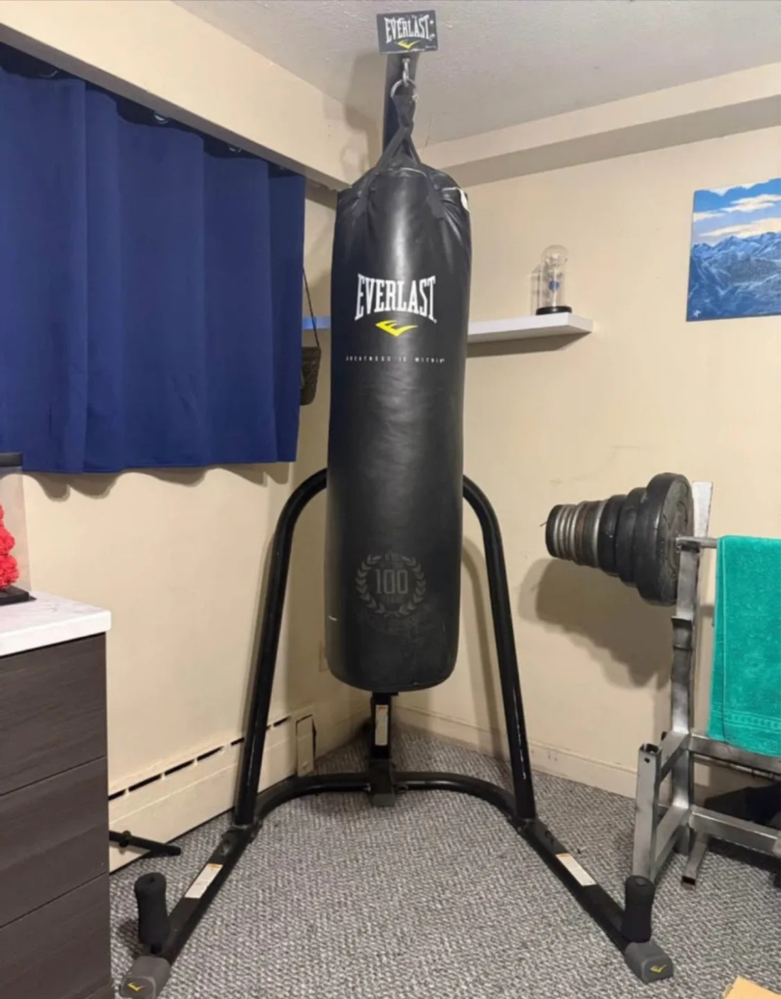 Everlast Heavy duty Boxing Bag with Stand