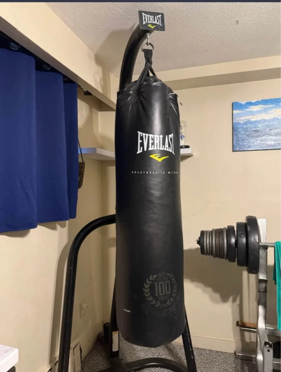 Everlast Heavy duty Boxing Bag with Stand image indicator(2)