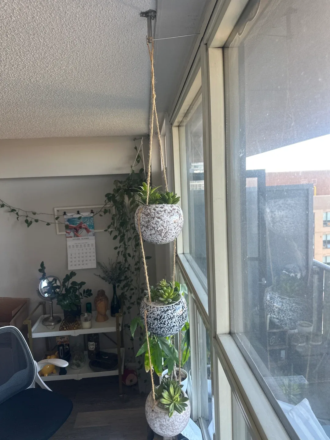 Hanging Planter with Succulents thumbnail