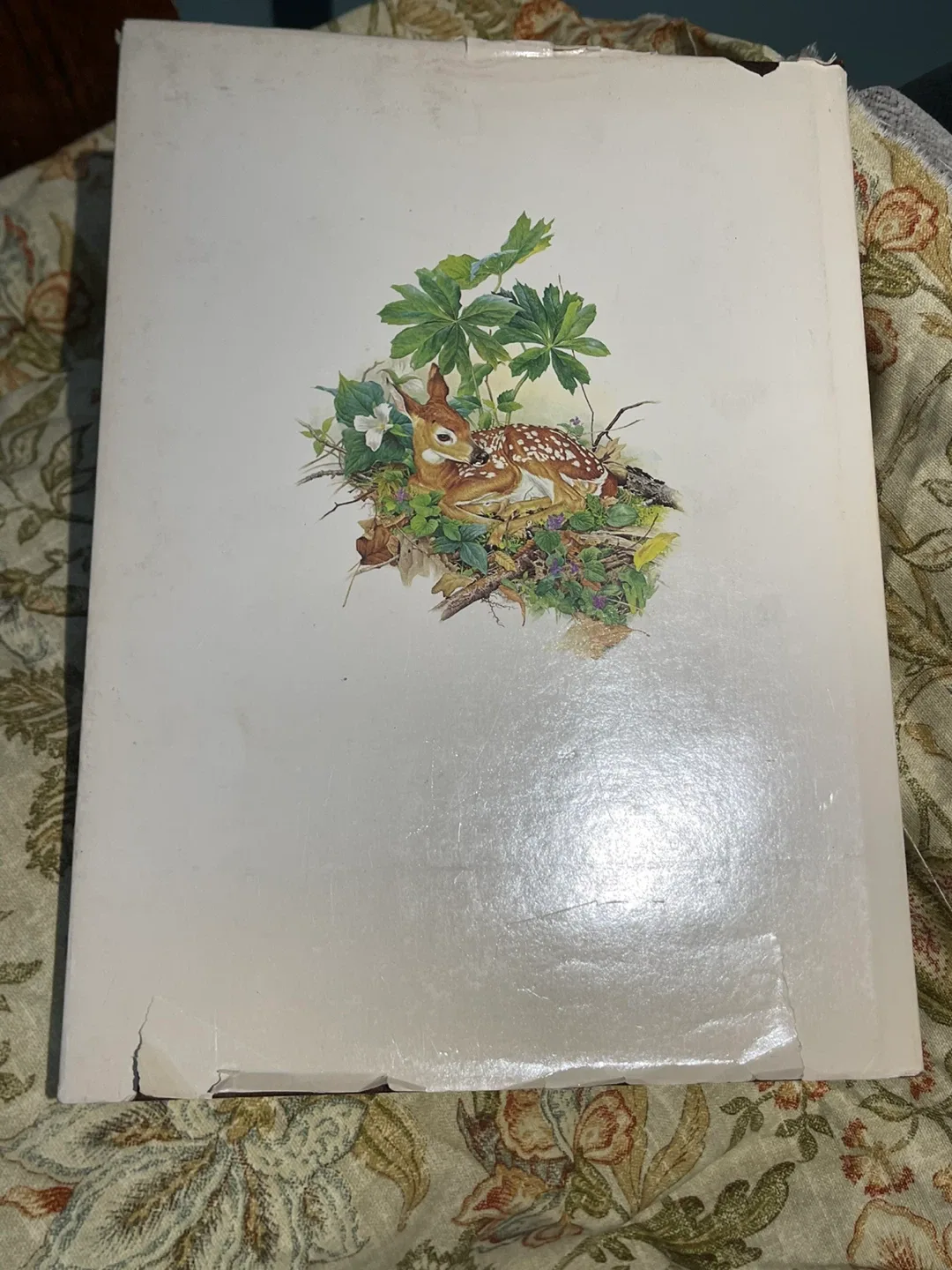 The Art of Glen Loates by Paul Duval image indicator(2)