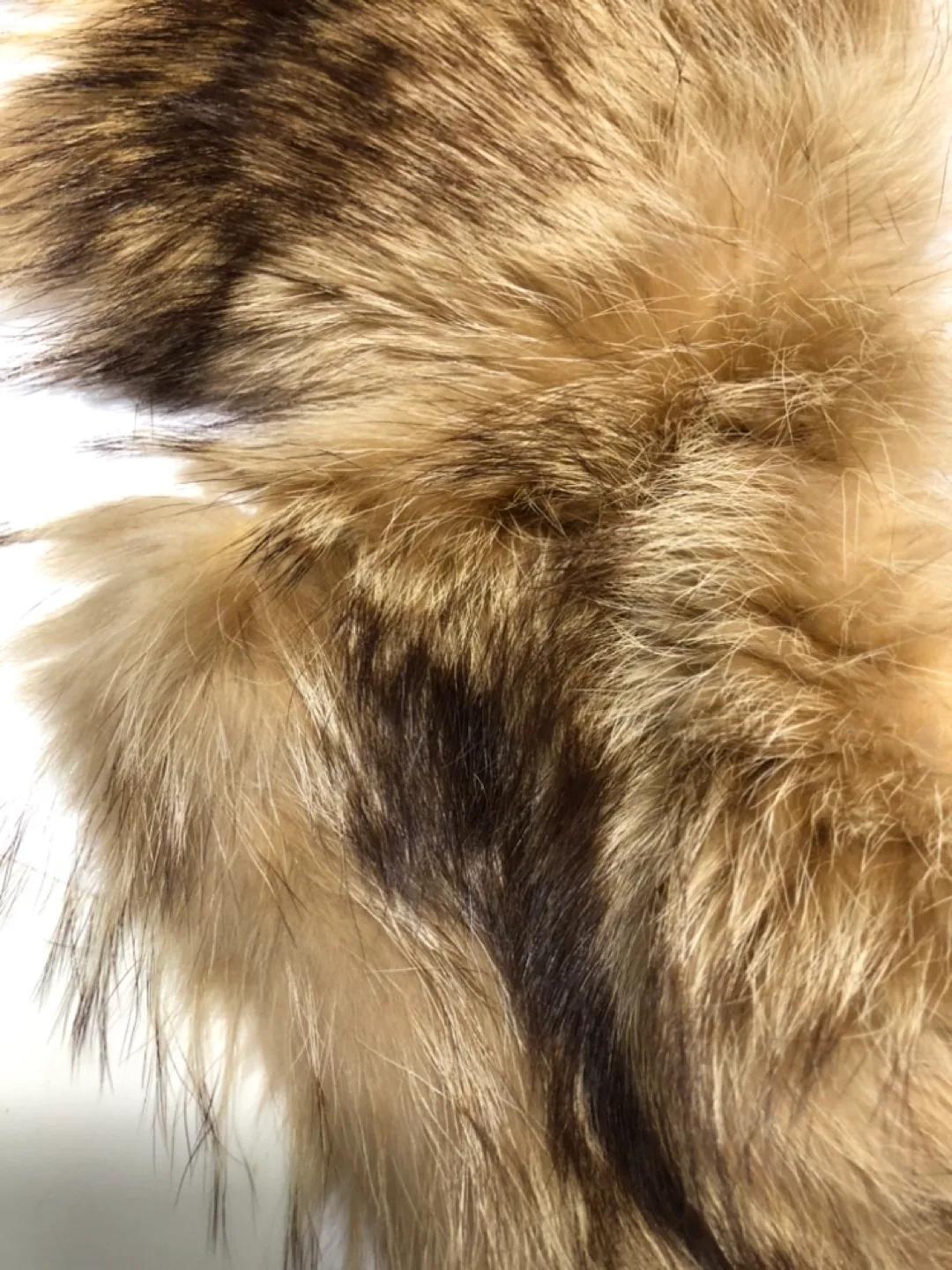 Stunning genuine racoon satin lined fur collar image indicator(7)