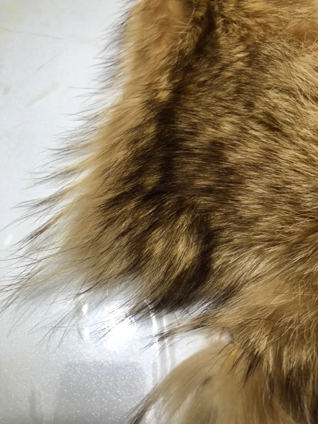 Stunning genuine racoon satin lined fur collar image indicator(8)