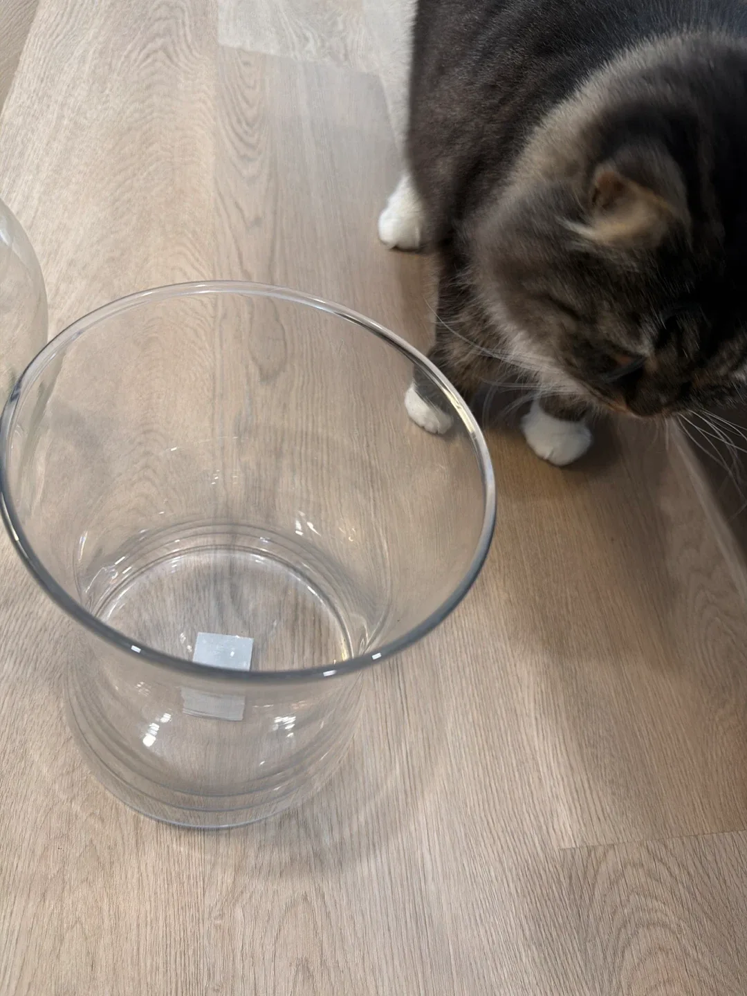 Glass Flower Vases - Set of 2 image indicator(3)