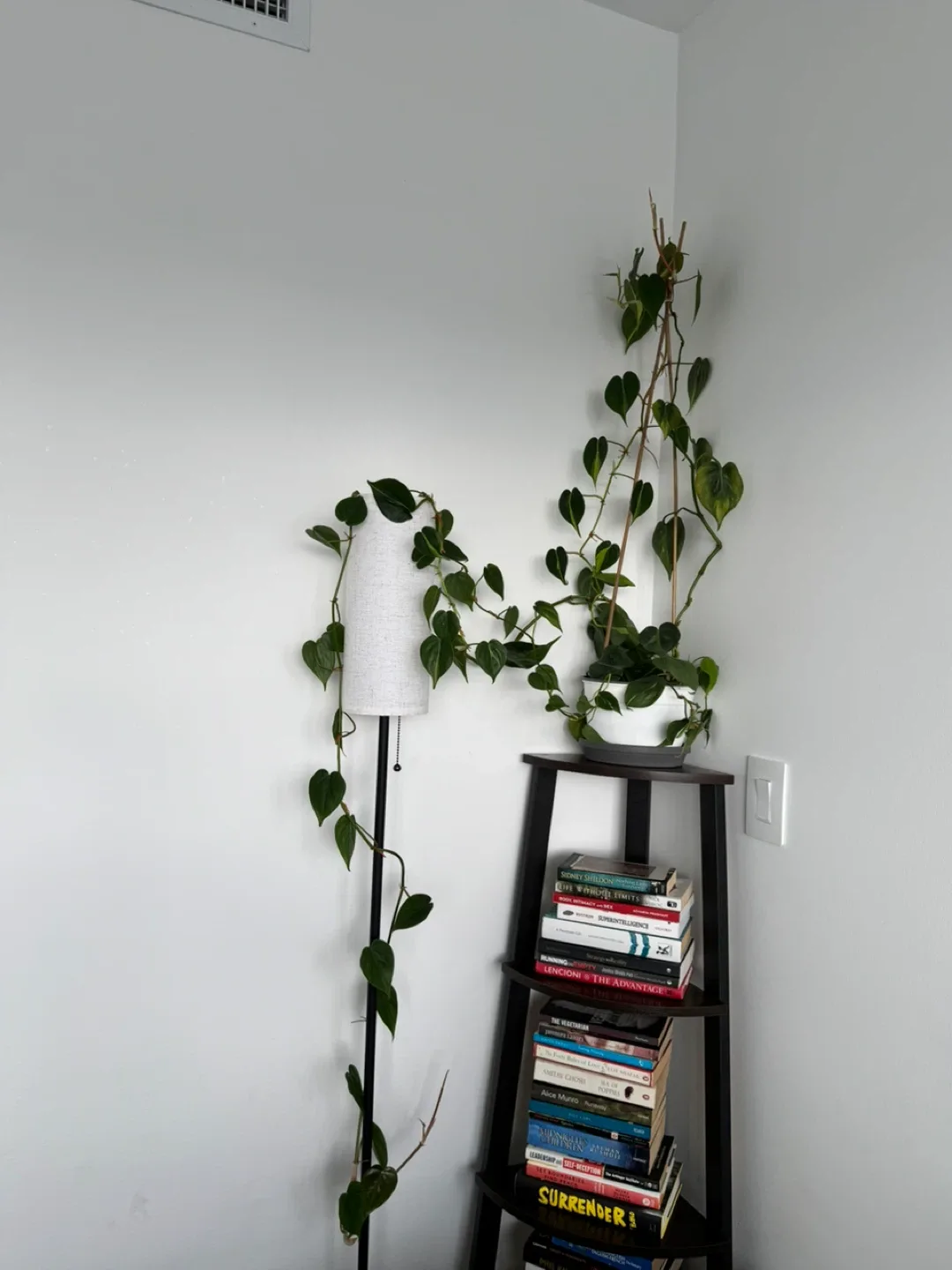 Potted plant for sale image indicator(2)