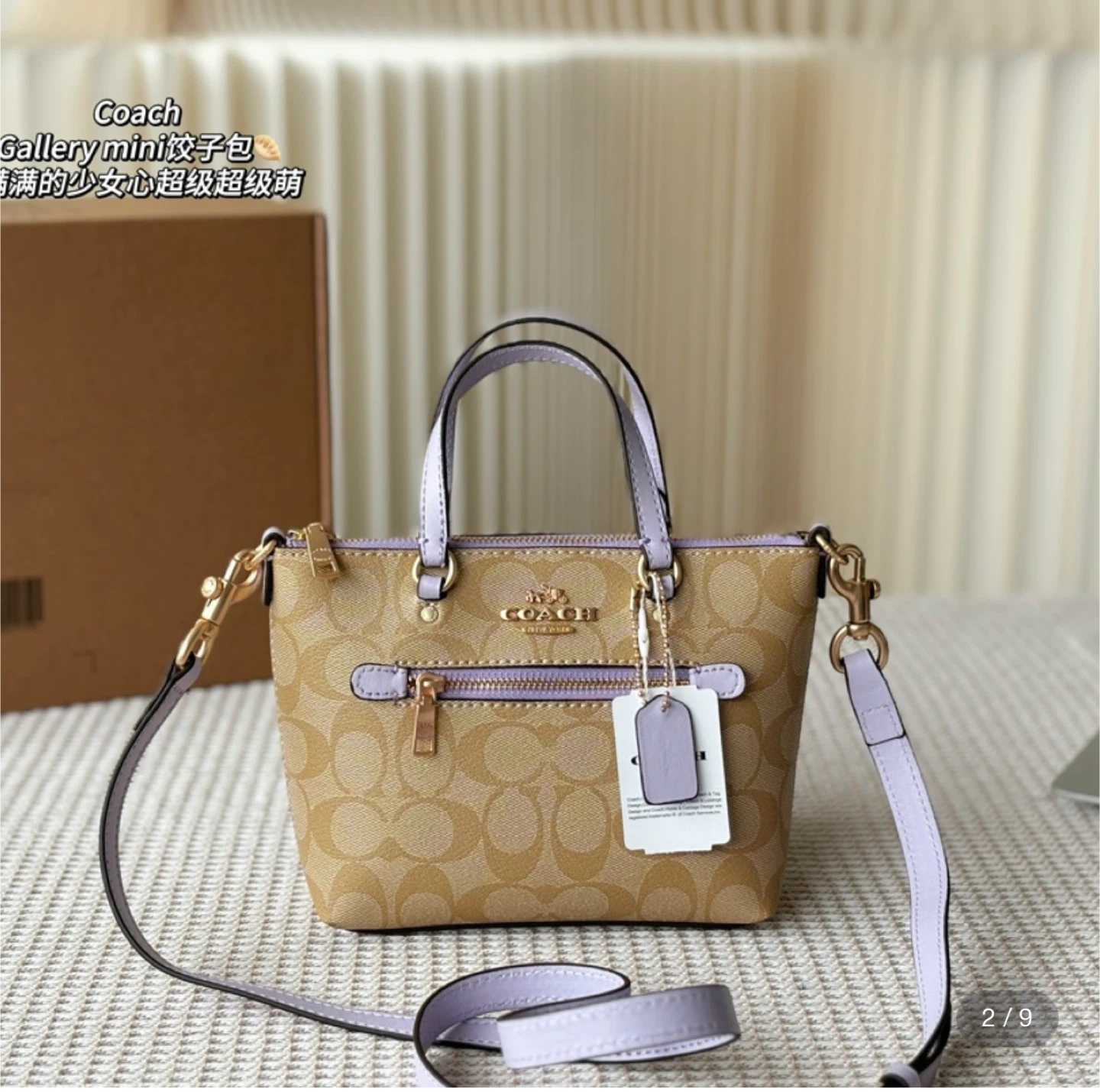Coach Gallery Mini Crossbody Bag