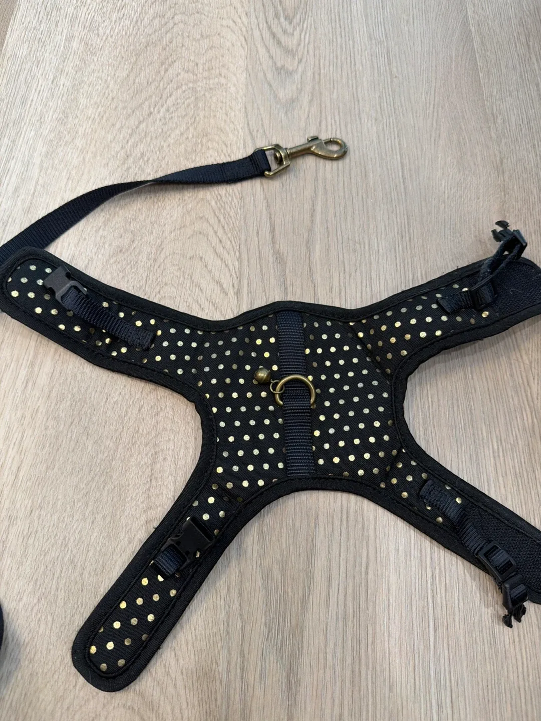 Cat Harness - Black with Gold Dots image indicator(2)