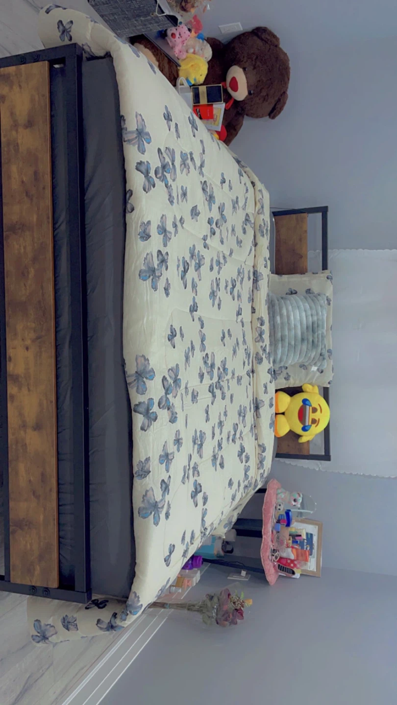 Rustic Metal Bed Frame