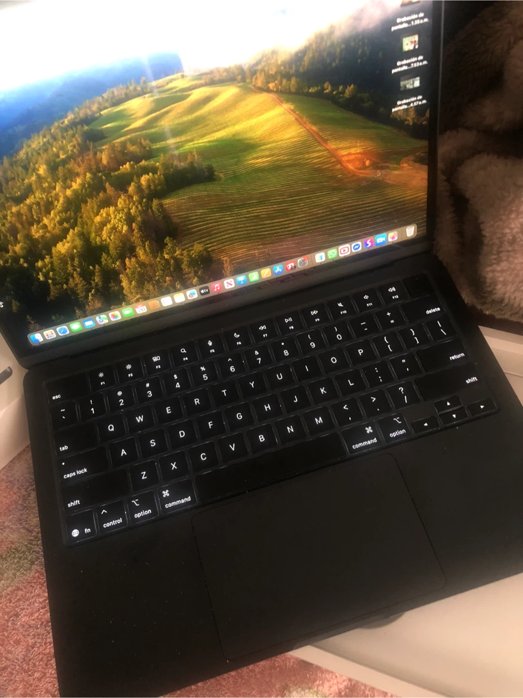 Apple MacBook Air M4 chip 13-inch 16GB 256GB - photo 2