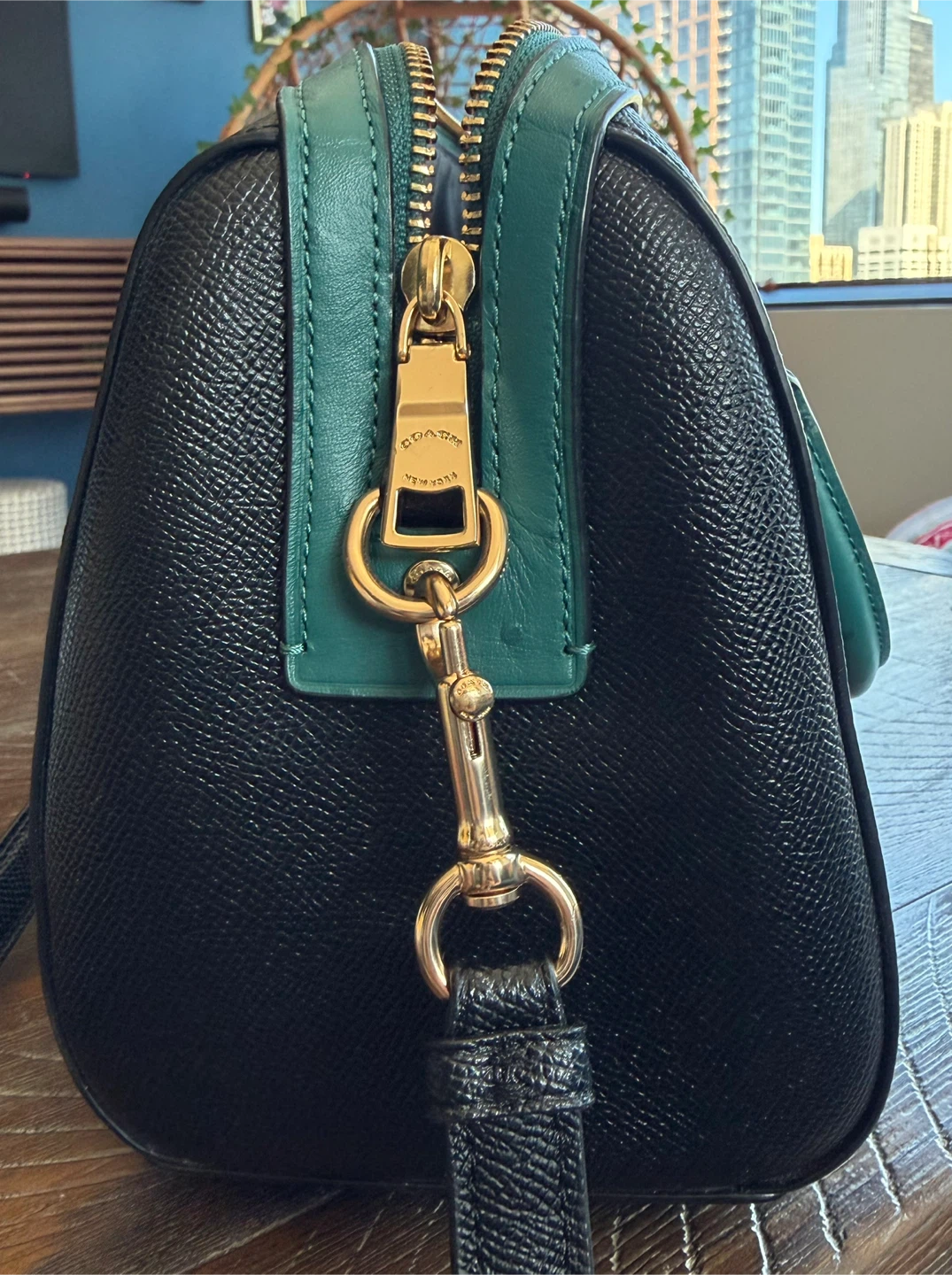 Coach Rowan Satchel Black/Green - photo 5