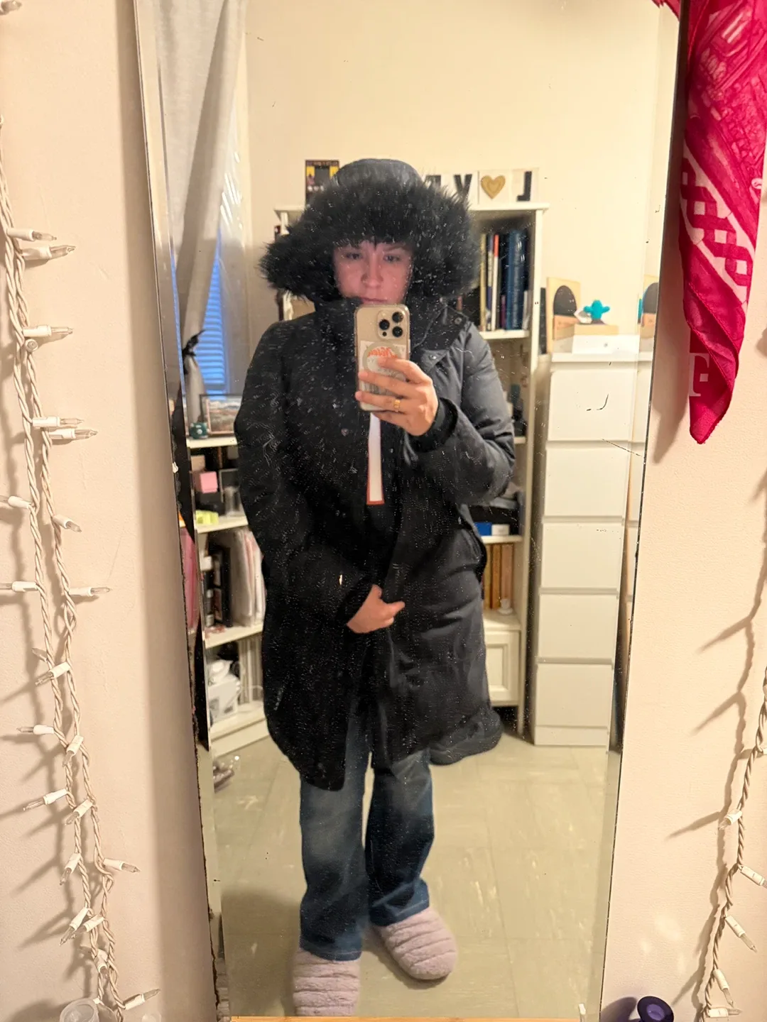 The North Face Parka - Women's Small image indicator(3)