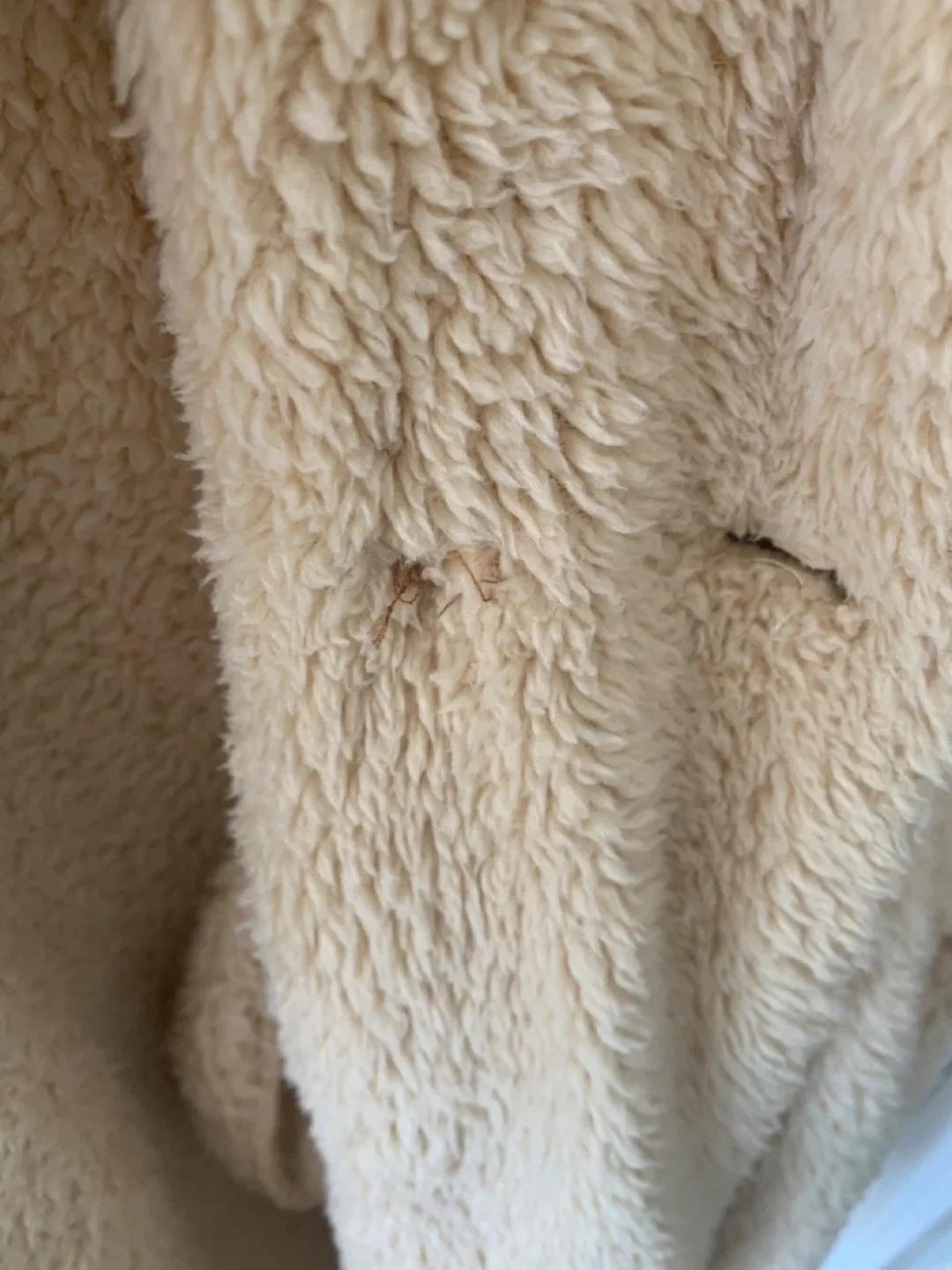 SHEIN Teddy Coat - Size S image indicator(4)