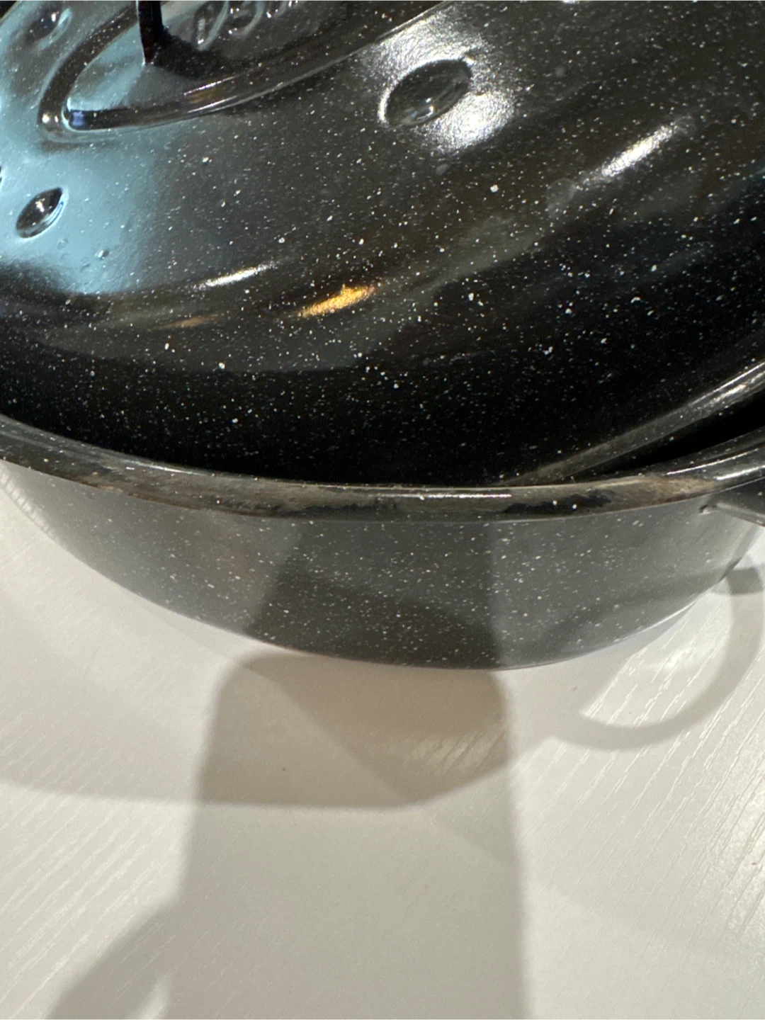 Granite Ware Roaster Pan with Lid - photo 3