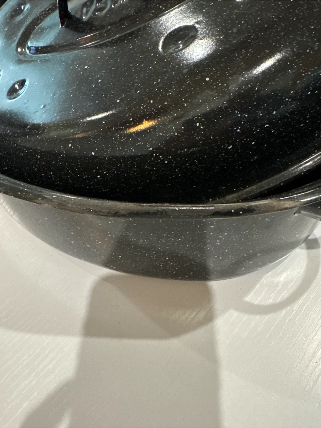 Granite Ware Roaster Pan with Lid image indicator(3)